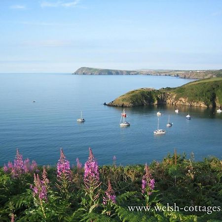 Cwmbrandy Cottage Fishguard Bagian luar foto