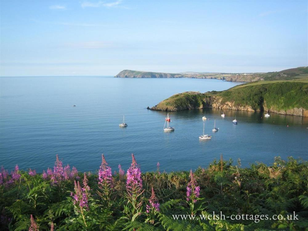 Cwmbrandy Cottage Fishguard Bagian luar foto