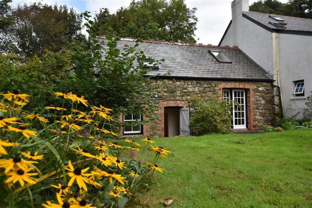 Cwmbrandy Cottage Fishguard Bagian luar foto