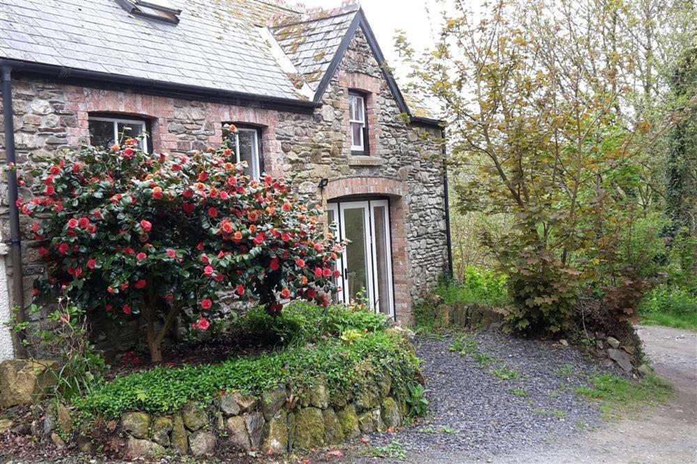Cwmbrandy Cottage Fishguard Bagian luar foto