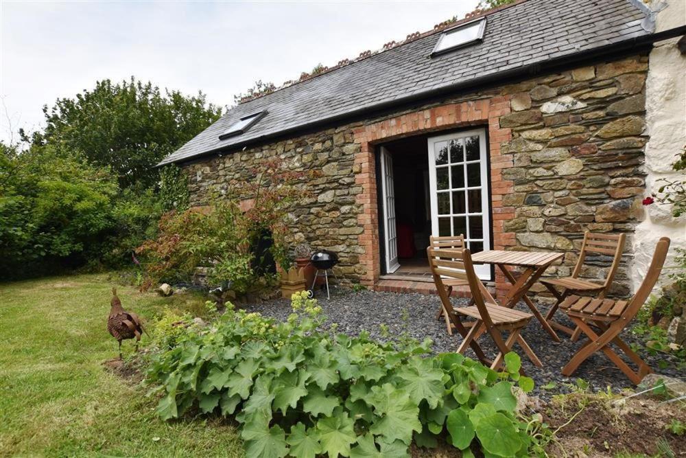 Cwmbrandy Cottage Fishguard Bagian luar foto