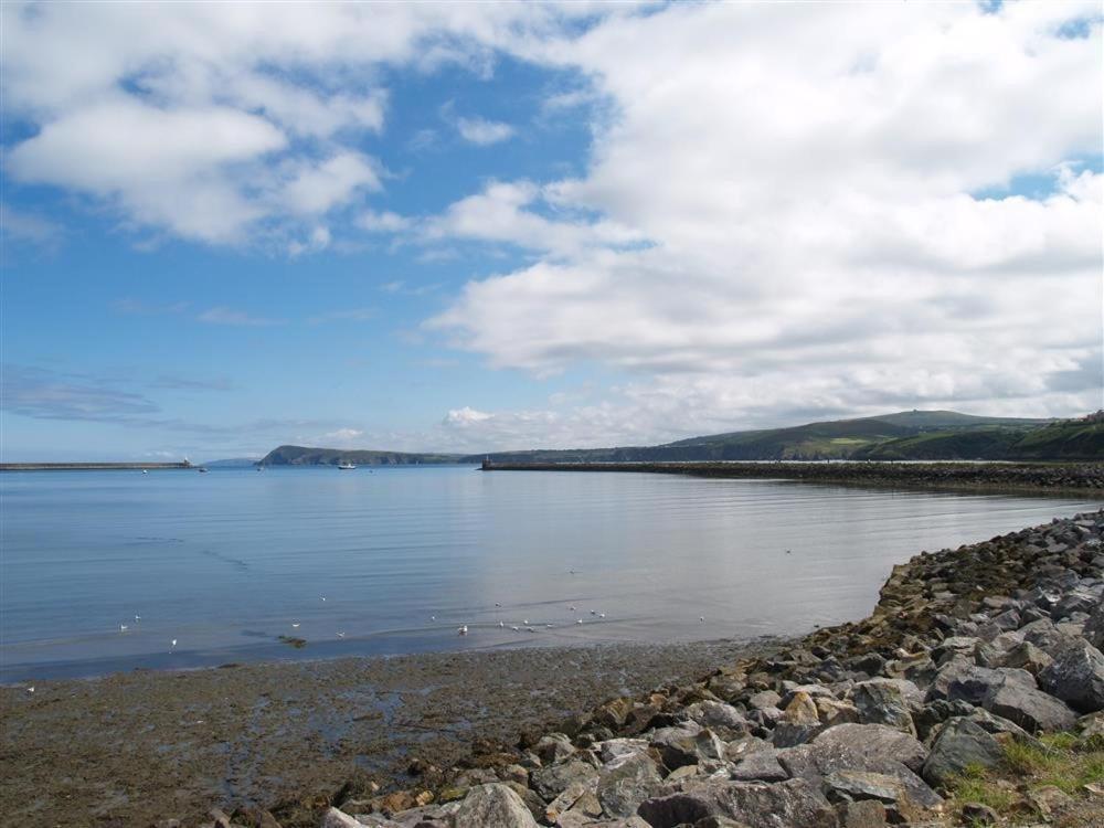 Cwmbrandy Cottage Fishguard Bagian luar foto
