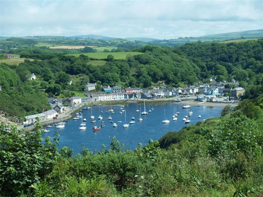Cwmbrandy Cottage Fishguard Bagian luar foto