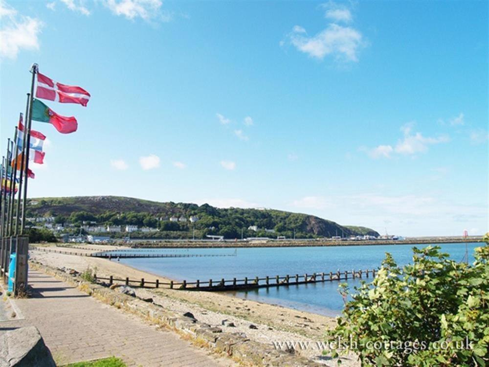 Cwmbrandy Cottage Fishguard Bagian luar foto