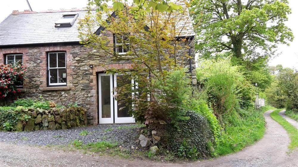Cwmbrandy Cottage Fishguard Bagian luar foto